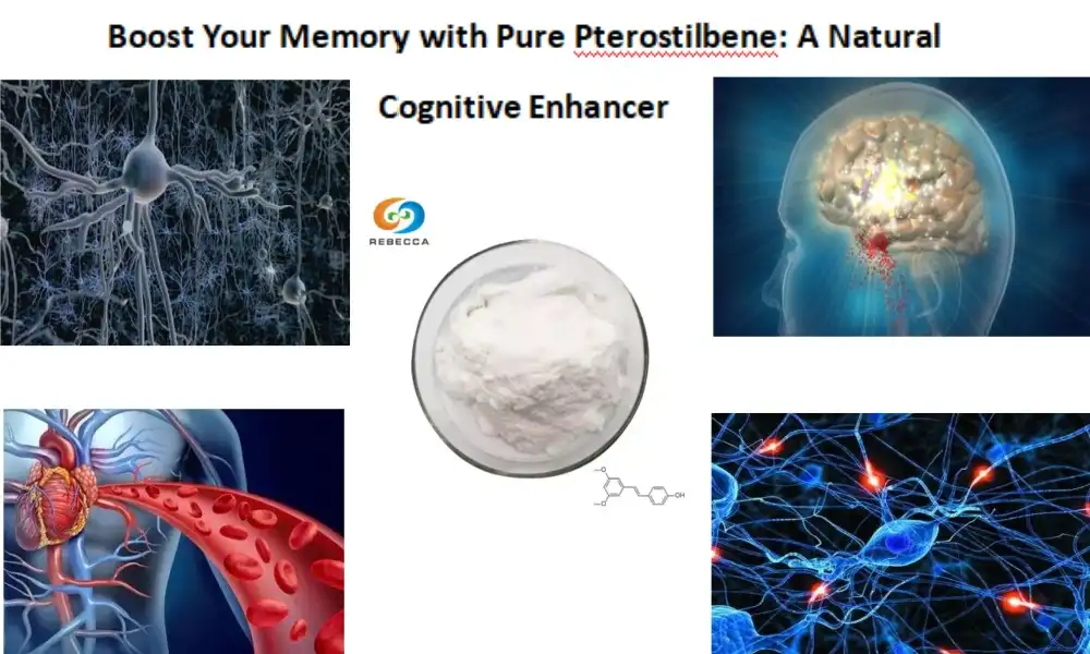 Boost Your Memory with Pure Pterostilbene: A Natural Cognitive Enhancer